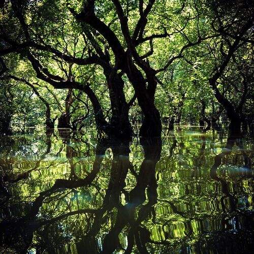 Reflection