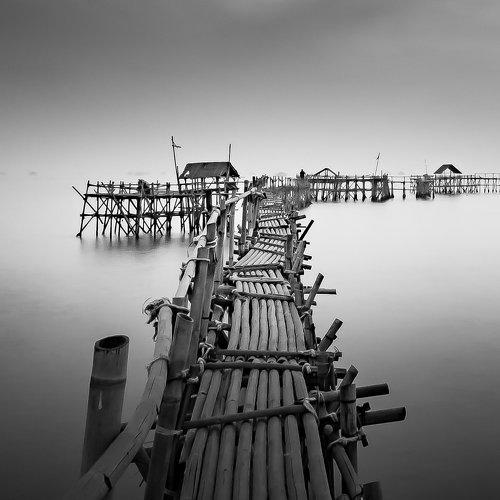 Landscape in BW