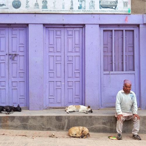 A Man and The dogs