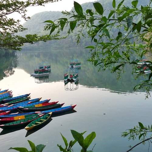 Stillness in Phewa Lake