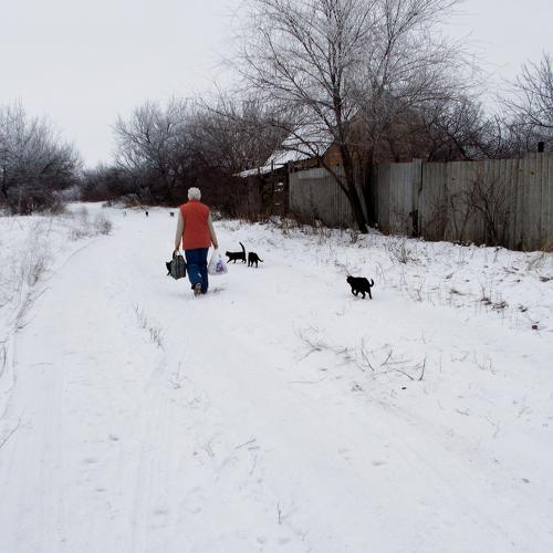 Photo #1886897