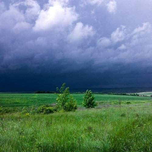 Photo #1886915