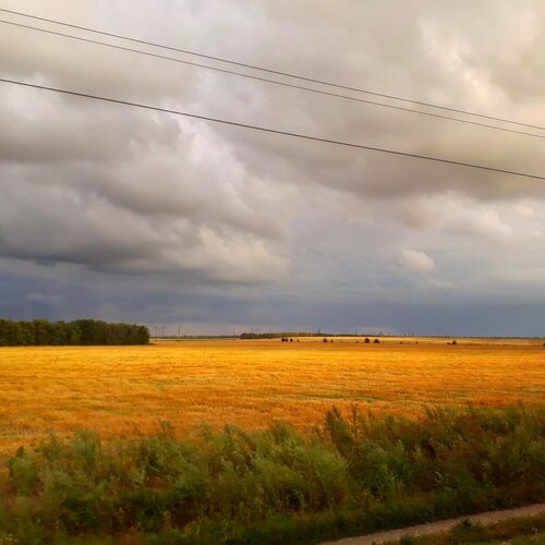 Август