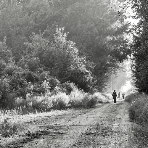 Walking