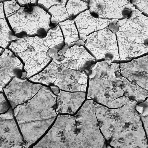 Cracks