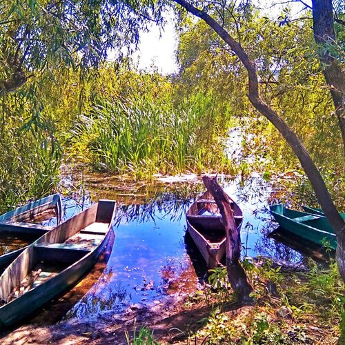 Река. Лодки