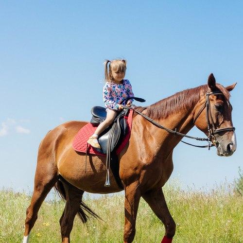 Photo #1889409