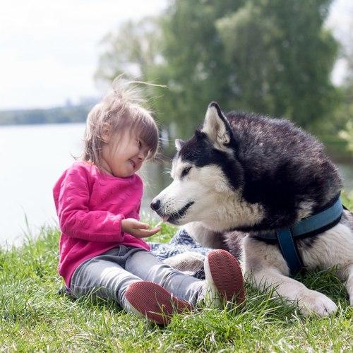 Photo #1889413