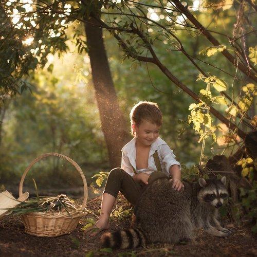 Крошка Енот