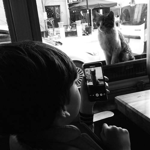Cat and Child