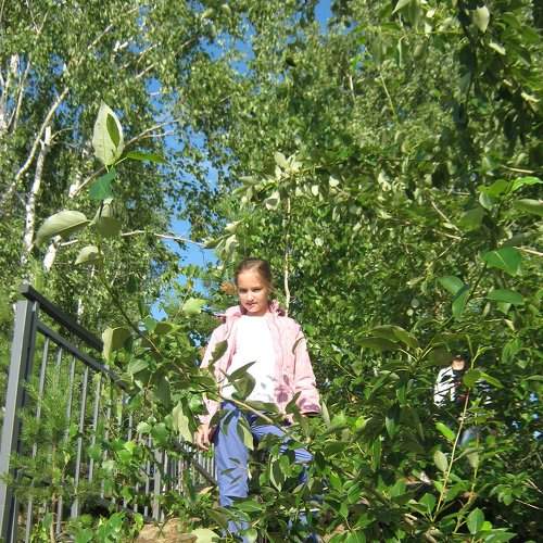 Photo #1891056