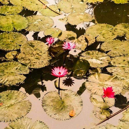 beauty of bangla