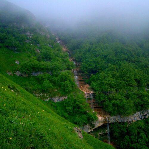 Caucasus