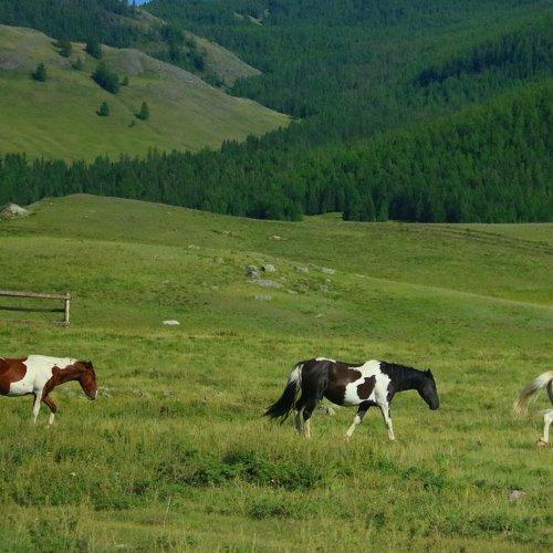 группа ВиАгра - новый состав!