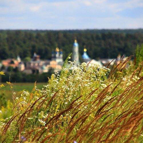 По дороге в Оптину пустынь