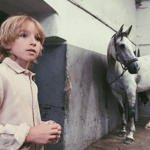 Only the Horses