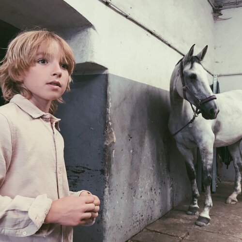Only the Horses