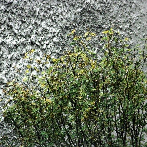 Photo #1894195