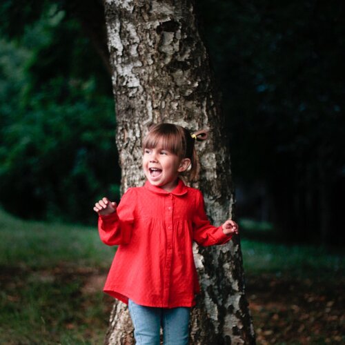 Photo #1894413