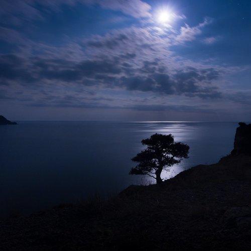 Лунная ночь на черном море.