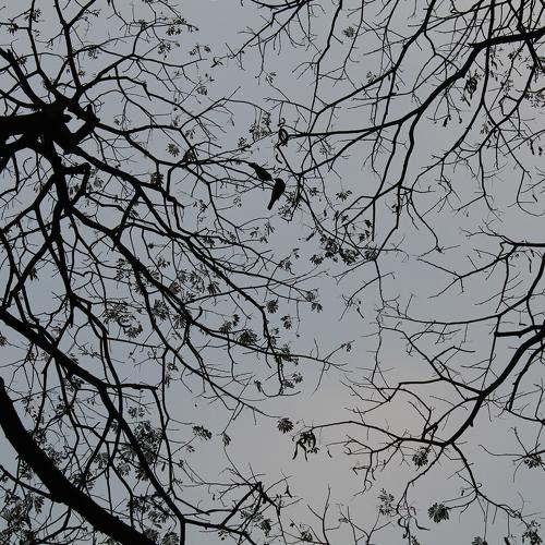Photo #1896094