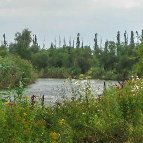 У реки...