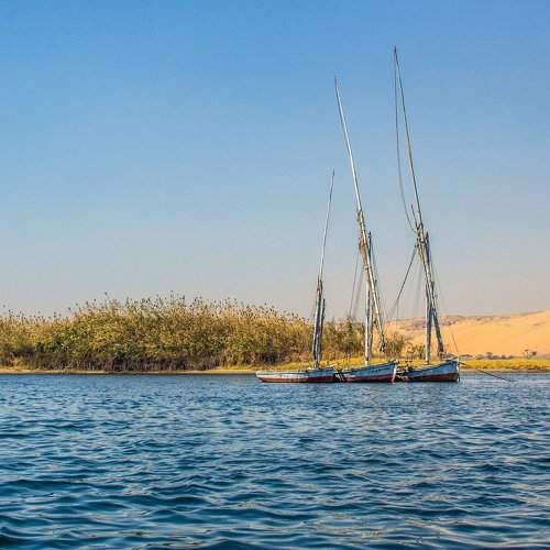 Felucca