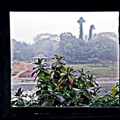WINDOW TO BEAUTY OF NATURE