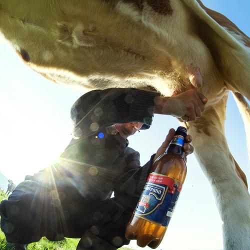 Drink kids milk for healthy