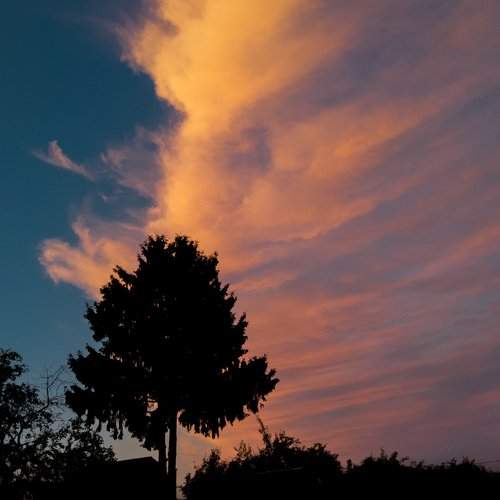 Beauty of nature