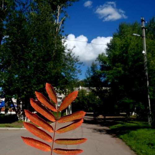 Осень-летом