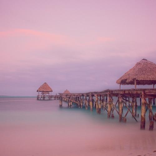 Photo #1899419
