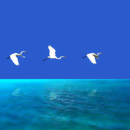 Photo #1899422