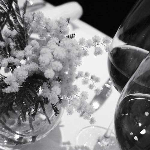 Photo #1900071