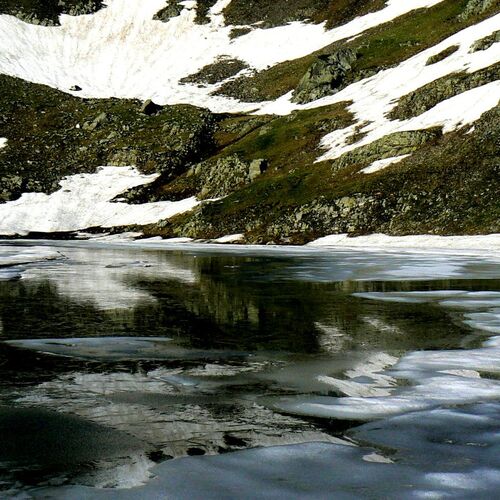 nature pictures