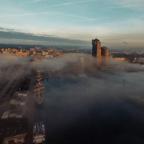 Foggy sunrise