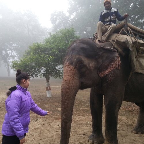 Photo #1901012