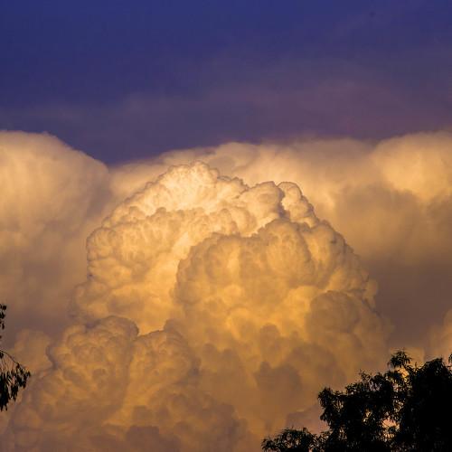 Evening Cloud