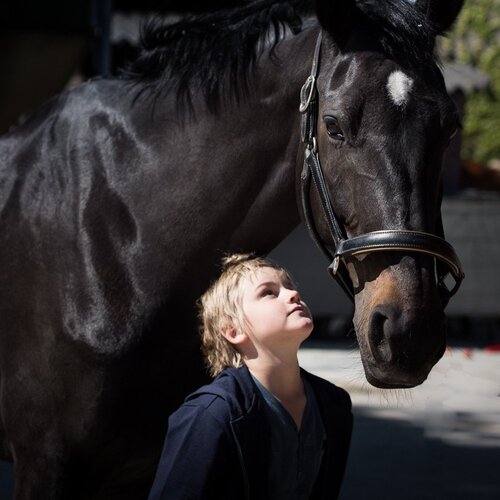 Nathan & the horse