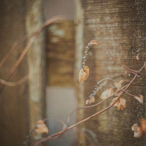 Photo #1905049