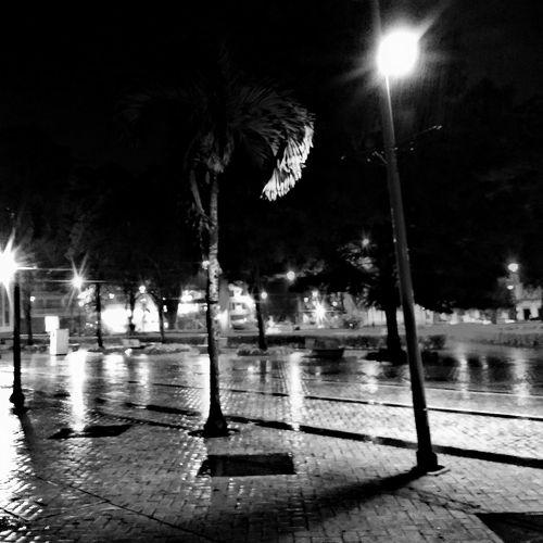 Wet Nigth