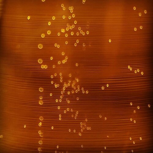 Photo #1905869