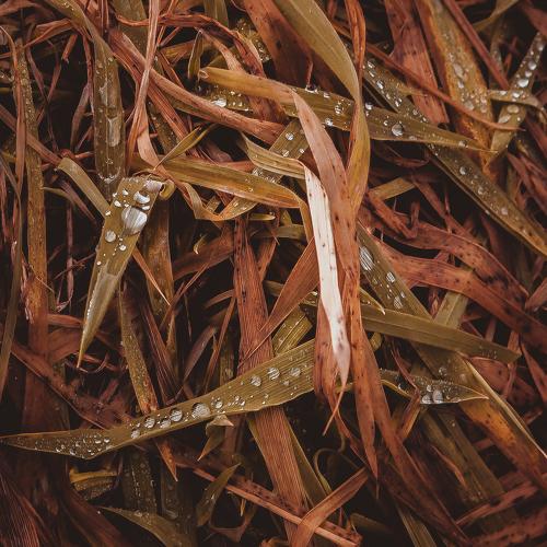 Photo #1906028