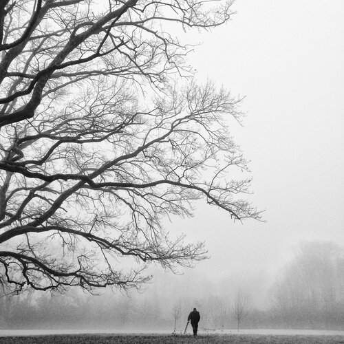 Autumn of the life
