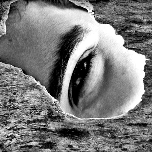 Curiosity