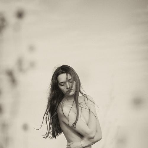 Photo #1906405