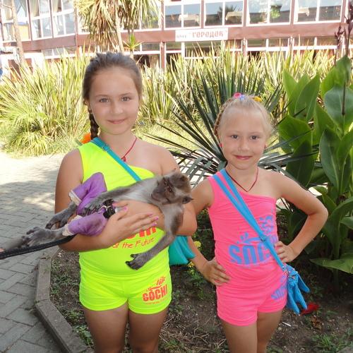Photo #1906970