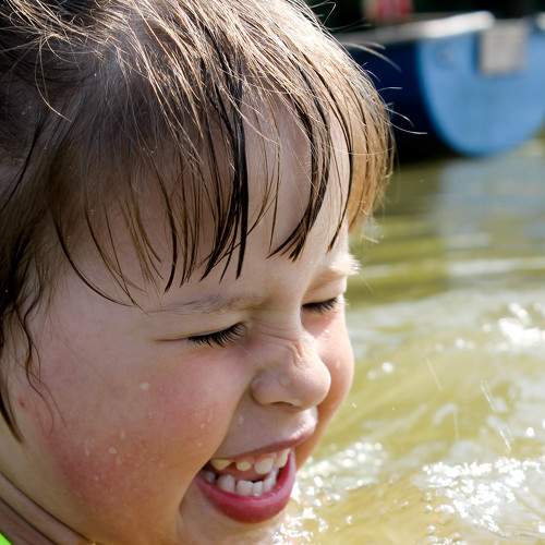 Photo #1909057