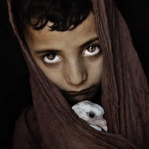 Child And Bird