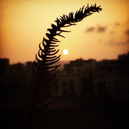Sunset in Malta